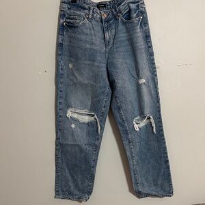 Express Classic Blue Distressed Jeans